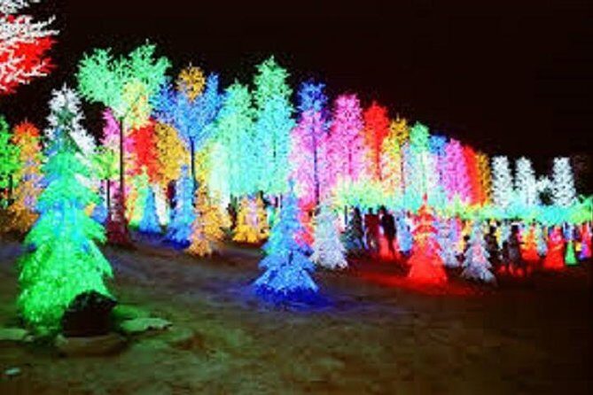 I-City Night Tour - Practical Tips for Making the Most of Your Night Tour