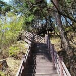 Icheon Mountain Hiking & Culture Tour - Authentic Experiences and What Travelers Have Said