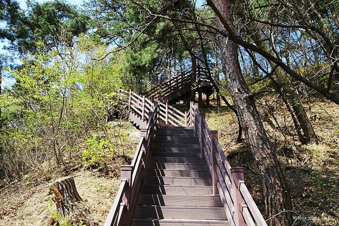 Icheon Mountain Hiking & Culture Tour - Authentic Experiences and What Travelers Have Said