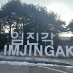 Imjingak DMZ Private Tour for Incheon Airport and Cruise Guests - What the Tour Includes and What You Should Consider