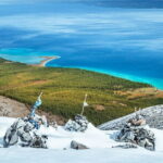 In Search of the Reindeer Herders - Analyzing the Value
