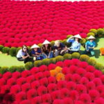 Incense Village Tam Coc Hoa Lu Small Group of 9 From Hanoi - Who Will Love This Tour?