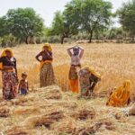 Indian Village Cultural Full Day Private Tour - The Value of the Experience