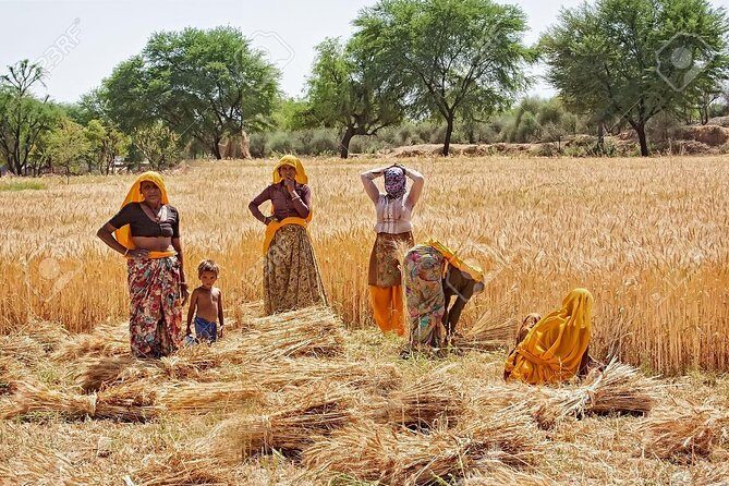 Indian Village Cultural Full Day Private Tour - The Value of the Experience