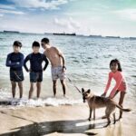 Instagrammable Photoshoot Experience in unique Singapore Locale - Who Should Consider This Tour?