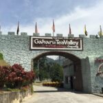 Ipoh Heritage Tour from Kuala Lumpur - Final Thoughts