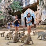 James Bond Island Sightseeing(No Canoeing) Tour by Longtail Boat from Krabi - Final Thoughts: Who Will Love This Tour?