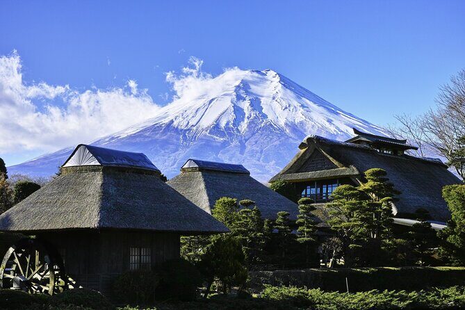 Japan9 Days Japan Golden Tour - The Transport and Accommodation