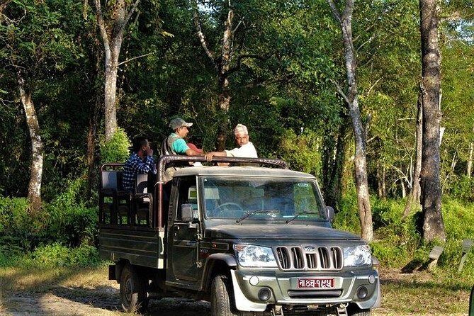 Jeep Safari in Chitwan National Park - What Does the Tour Include?