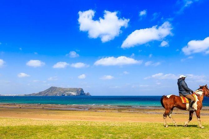 Jeju Canola blossoms festival -horse riding-folk village tour - Key Points