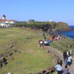 Jeju Private Car Charter Tour - Why Travelers Love This Tour