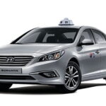 Jeju Private Taxi Tour Cruise Shore Excursion Car Charter - FAQ