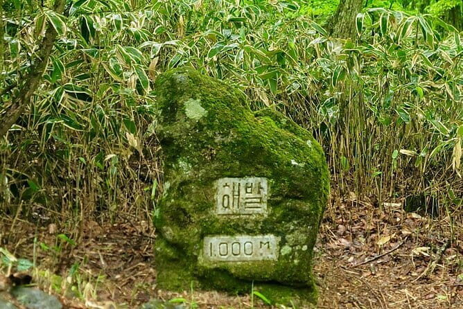 Jeju West Highlights Day Tour  Real Nature & Culture Experience - Practical Details and Value