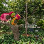 Jewel Changi Airport: Walking Net + Complimentary Canopy Park - A Breakdown of the Itinerary and What to Expect