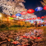Jinhae Gunhangje Night Tour - Why This Tour Is Worth It