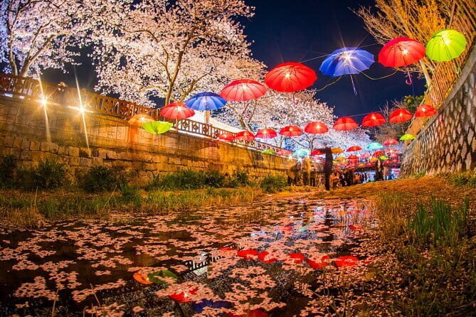 Jinhae Gunhangje Night Tour - Why This Tour Is Worth It