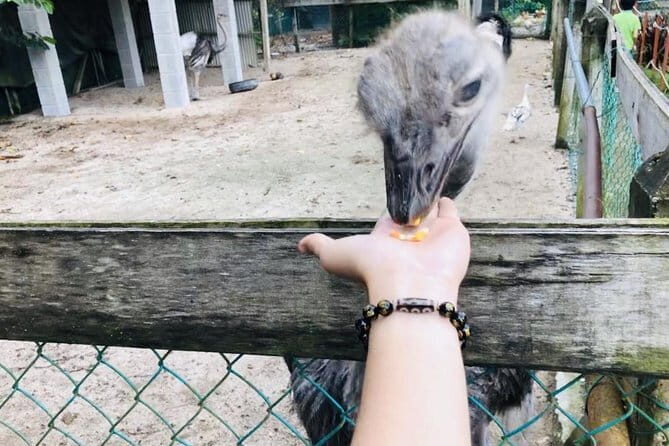 Johor Day Tour - Ostrich Farm, Waterfall, Go Kart [Car] - FAQ