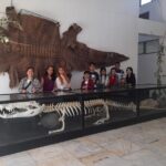 Joiners Half-Day City Tour in Puerto Princesa City - Who Will Love This Tour?