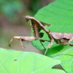 Jungle Immersion Trek 2 Days and 1 Night - Summary & Who Should Consider This Tour