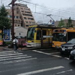 Kagoshima Shore Excursion Shopping Tour with Wagyu Lunch Included - Transportation, Group Size, and Timing