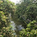 Kaiping Diaolou 2-Day Private Tour from Guangzhou - The Sum Up