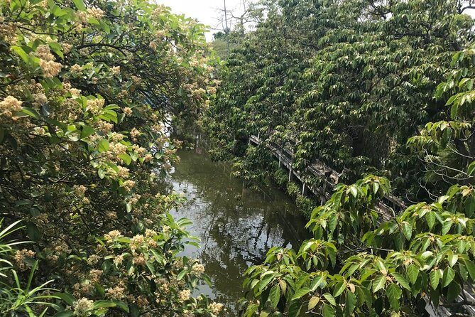 Kaiping Diaolou 2-Day Private Tour from Guangzhou - The Sum Up