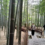 Kamakura Hidden Gems and Sacred Sites Private Tour - What to Expect and Practical Details