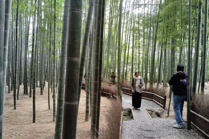 Kamakura Hidden Gems and Sacred Sites Private Tour - What to Expect and Practical Details