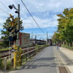 Kamakura Private Cultural and Historical Hiking Tour - Who Would Love This Tour?