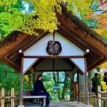 Kanazawa Half Day Private Tour - Castle, Garden, Geisha District - Who Is This Tour Best For?