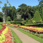 Kandy City tour and site visits - An In-Depth Look at the Itinerary