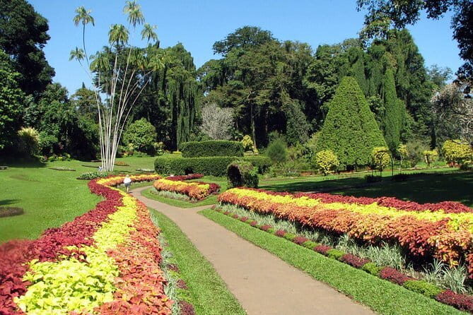 Kandy City tour and site visits - An In-Depth Look at the Itinerary