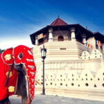 Kandy City Tour Experience from Kandy - FAQ