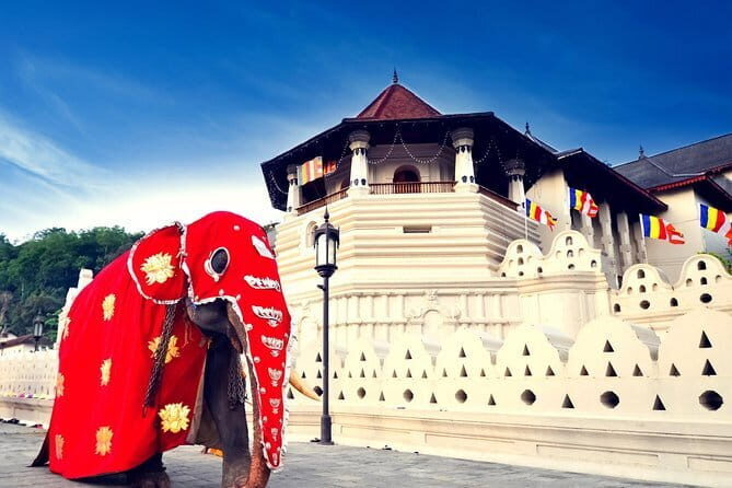 Kandy City Tour Experience from Kandy - FAQ