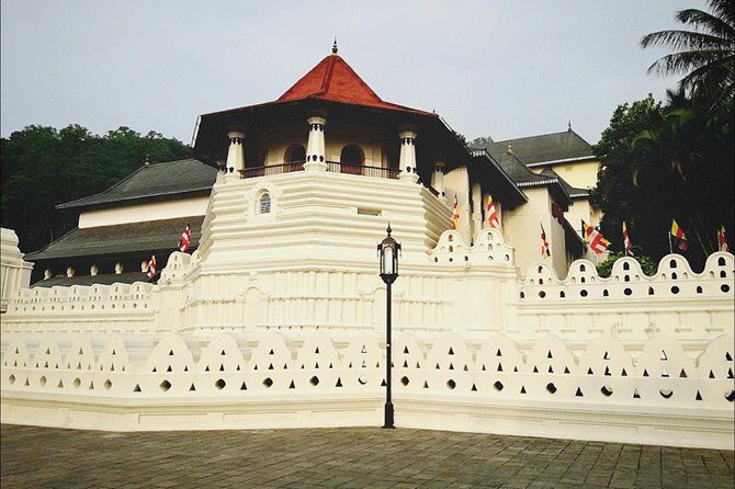 Kandy city tour for couple price - Who Should Consider This Tour?