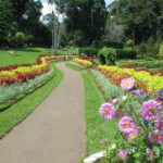 Kandy City Tour from Colombo Seaport - Practical Considerations