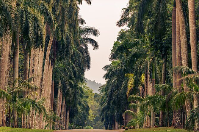 Kandy City Tour from Dambulla - What You’ll Love About This Tour