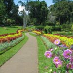 Kandy City Tour from Negombo - An In-Depth Review of the Kandy City Tour from Negombo