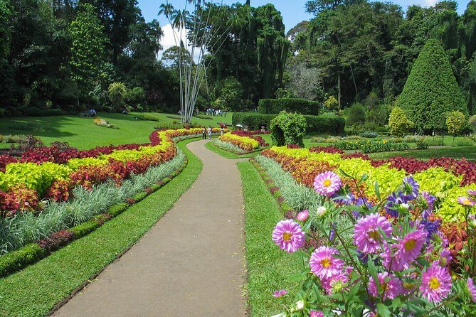 Kandy City Tour from Negombo - An In-Depth Review of the Kandy City Tour from Negombo
