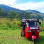 Kandy Nature & Culture Tour - Additional Highlights and Practical Notes