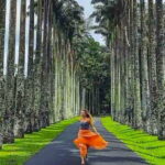 Kandy Private Transport with Sightseeing from Colombo - The Sum Up
