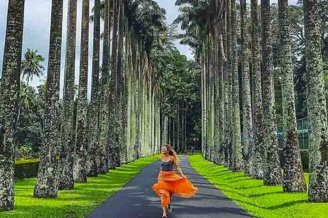 Kandy Private Transport with Sightseeing from Colombo - The Sum Up