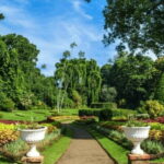 Kandy & Tea Wonderland: A Day of Heritage, Views, & Flavors - Who Should Consider This Tour?