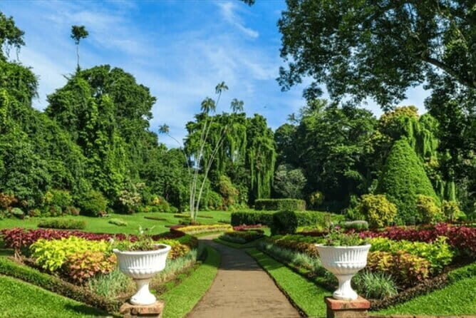 Kandy & Tea Wonderland: A Day of Heritage, Views, & Flavors - Who Should Consider This Tour?
