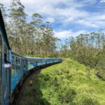 Kandy to Ella or Nanu Oya Scenic Train Reserved Seats - Practical Tips for the Journey