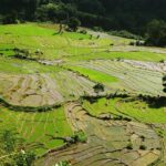 Kandy Village Walk with a Local - The Experience from the Review Insights