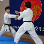 Karate Experience with the Shotokan Karate-do Instructor - Deep Dive into the Itinerary