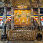 Katunayaka Airport to Kandy and Nuwaraeliya 2 Days - Day 1: From Negombo to Kandy – Sacred Temples and Botanical Bliss
