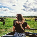 Kaudulla National Park Private Safari from Dambulla - Who Should Consider This Tour?