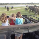 Kaudulla National Park - Private Safari from Sigiriya - The Sum Up